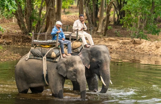 Bandhavgarh Beyond Tigers: A Journey Through Wildlife, Nature and Ancient Heritage